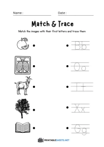 thumbnail of Match and Trace (B, O, T, X , G)